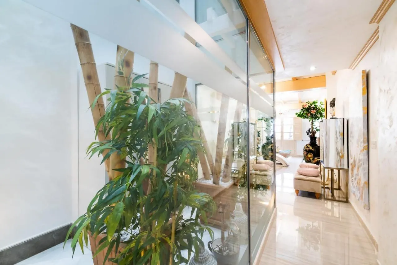 Granada Luxury Apartment